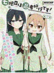 长风渡海封面